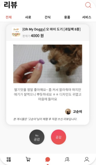 펫라이크 리뷰 화면