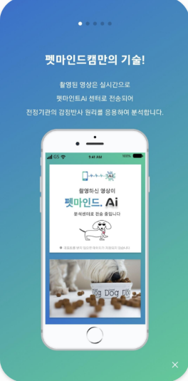 펫마인드캠 진단 상세 화면